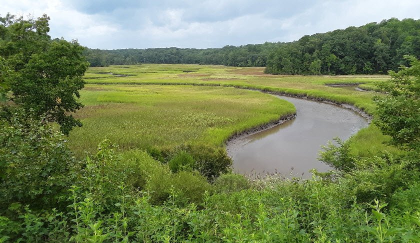 York River State Park, Virginia, USA